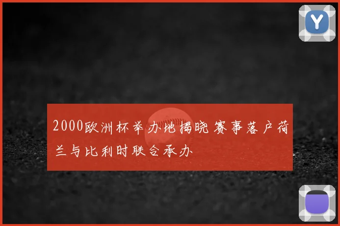 2000欧洲杯举办地揭晓 赛事落户荷兰与比利时联合承办