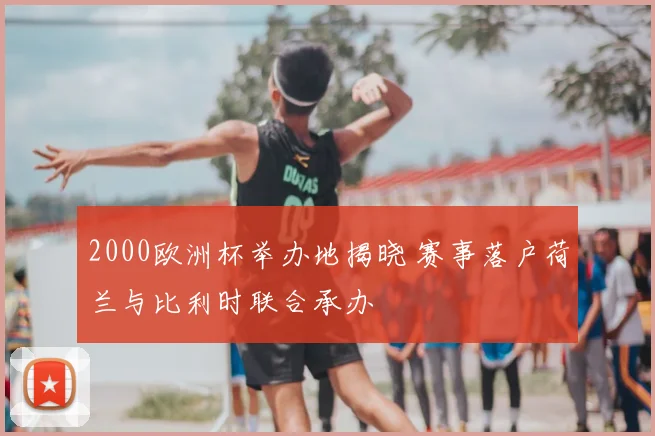 2000欧洲杯举办地揭晓 赛事落户荷兰与比利时联合承办