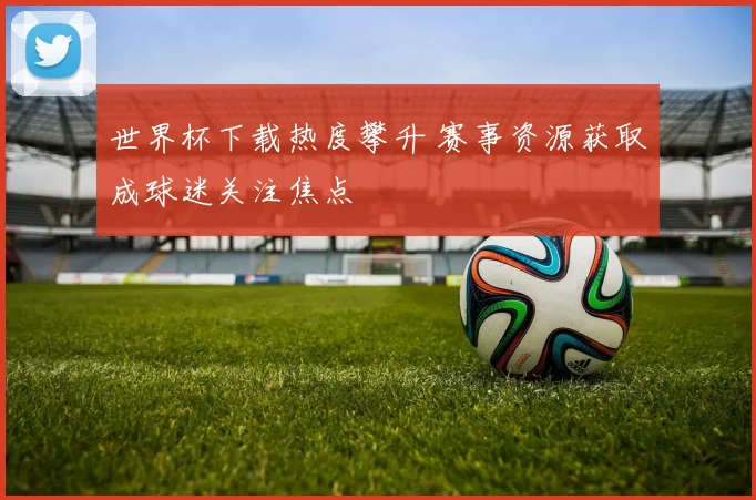 世界杯下载热度攀升 赛事资源获取成球迷关注焦点